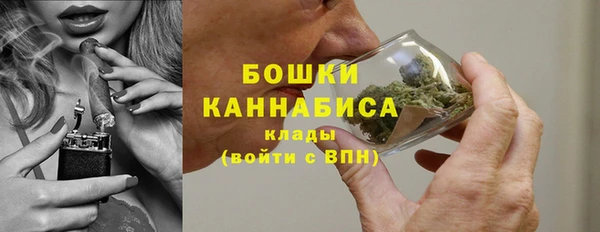 твердый Карпинск