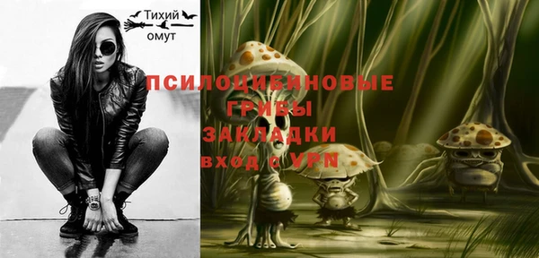 твердый Карпинск