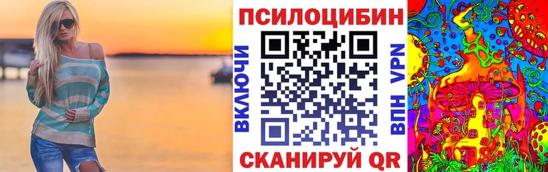 Купить закладки  Бердск  Псилоцибиновые грибы Psilocybine cubensis 
